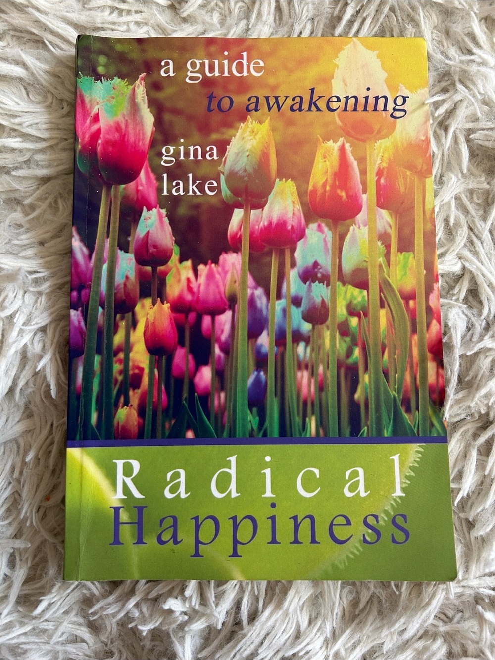 A Guide to Awakening — Radical Happiness (Colorful Tulip Cover) by Gina Lake